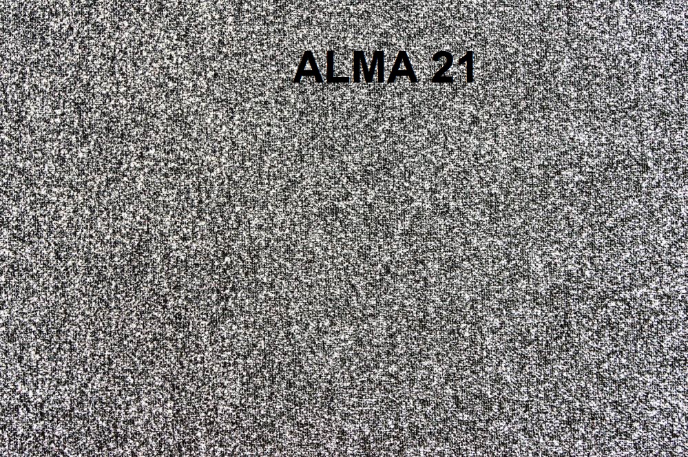 alma-8118-21